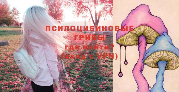 тгк Пересвет