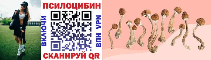 Псилоцибиновые грибы ЛСД  Бирюсинск 